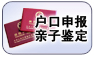 戶口申報親子鑒定