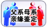 父系、母系親緣鑒定